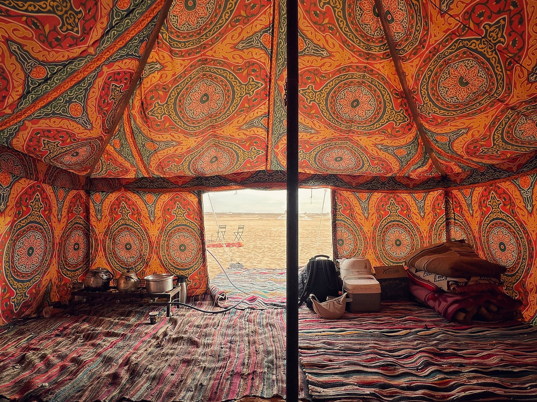 tamer safari-开罗必去景点