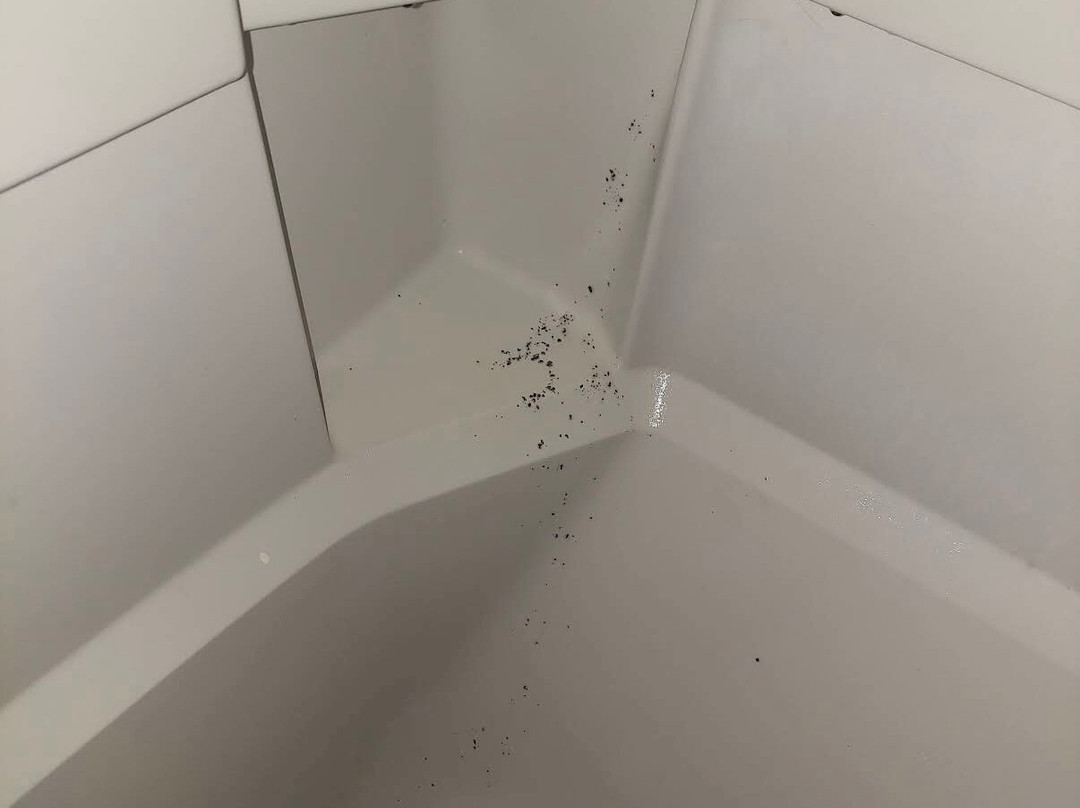 Best Western Acworth Inn主图