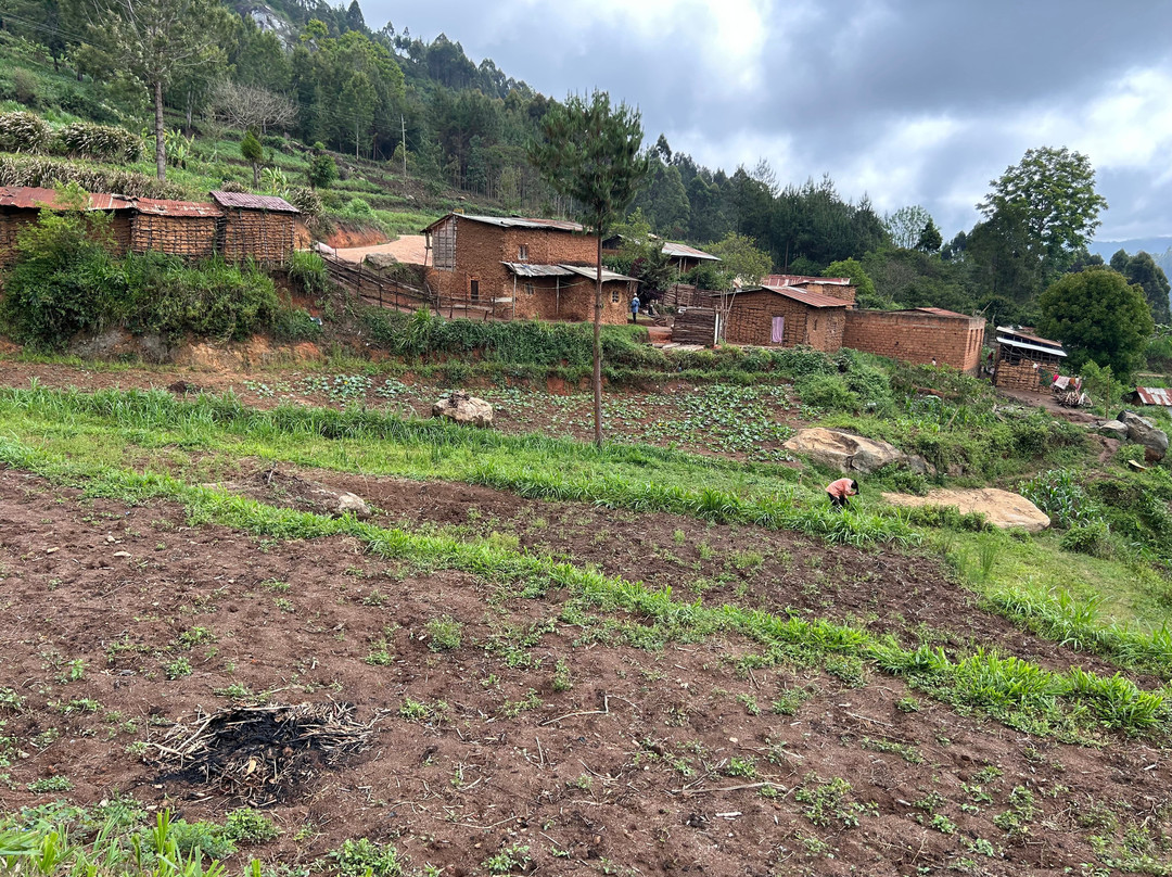 Usambara Eco Tours-卢绍托必去景点