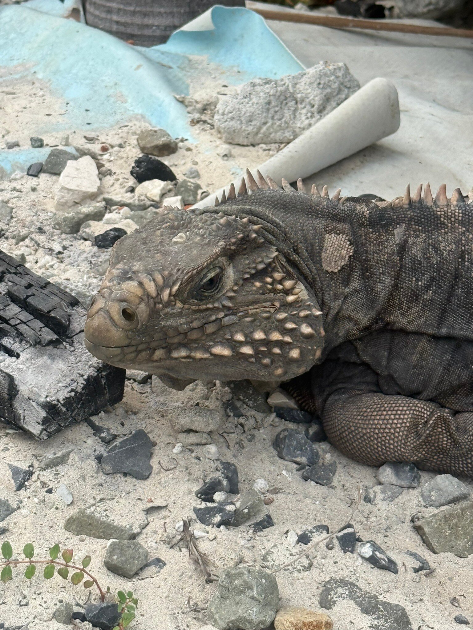 Villa Linda Mar-官方