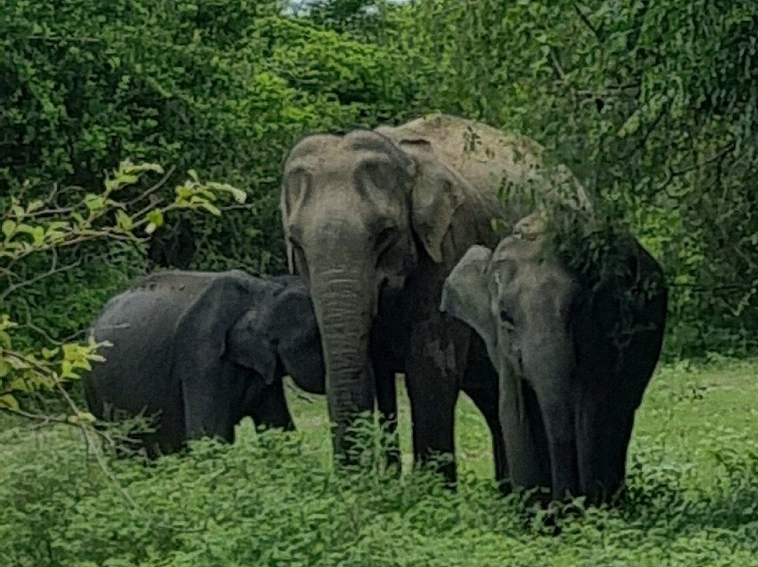 Nath Travel-加勒必去景点
