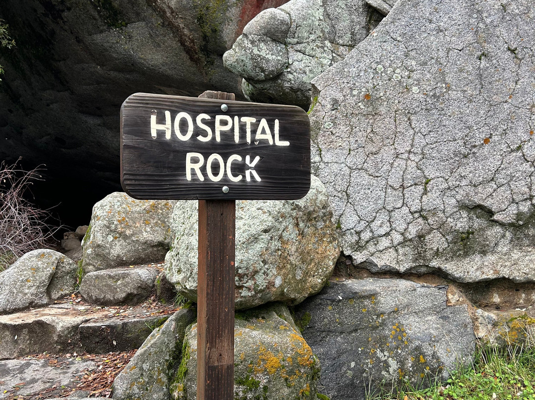Sequoia National Park-维塞利亚必去景点