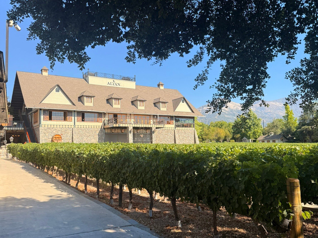 Alyan Family Wines-Pirque必去景点