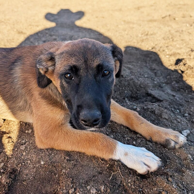 Cerritos Cowboy-Playa Cerritos必去景点