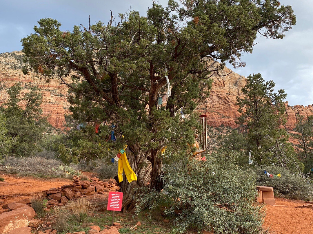 Amitabha Stupa and Peace Park-塞多纳必去景点