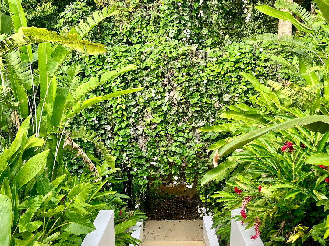 Vayu Retreat Villas主图