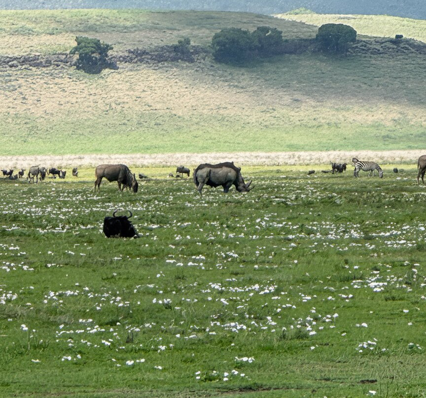 Great Escape Trails-莫西必去景点