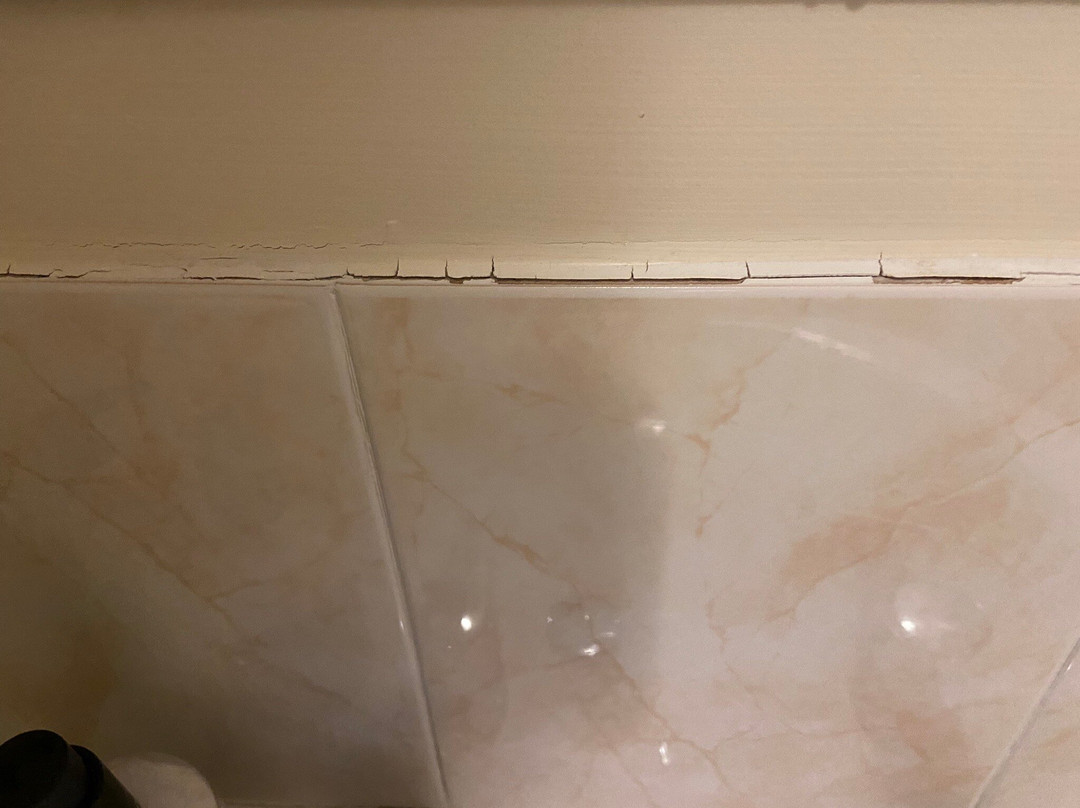 Seaton酒店住宿-The Dolphin Hotel