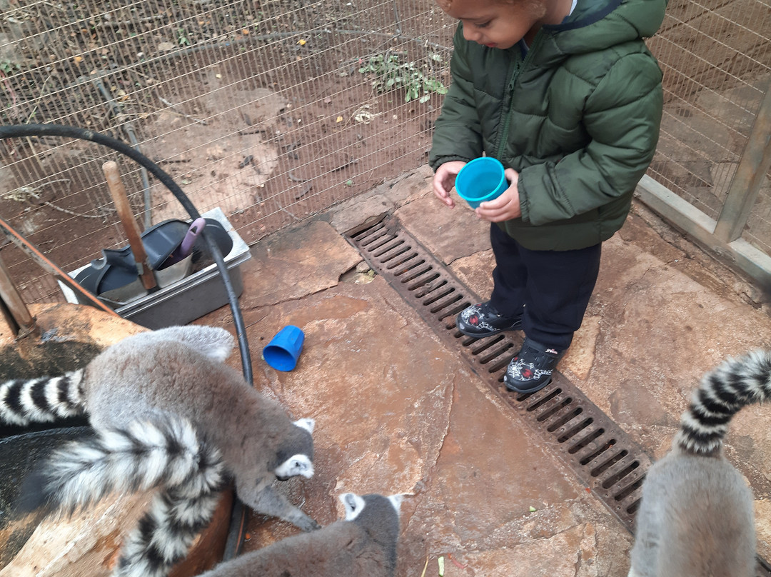 Pafos Zoo-帕福斯必去景点