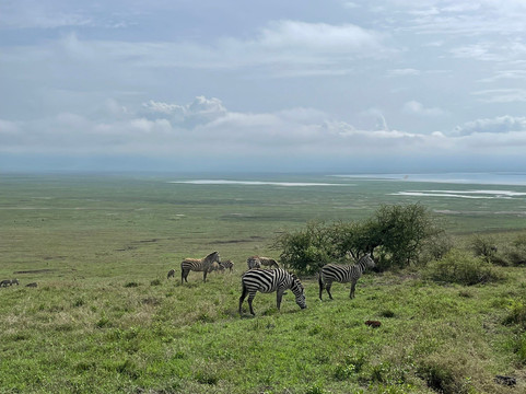 Incredible Africa Adventures-莫西必去景点