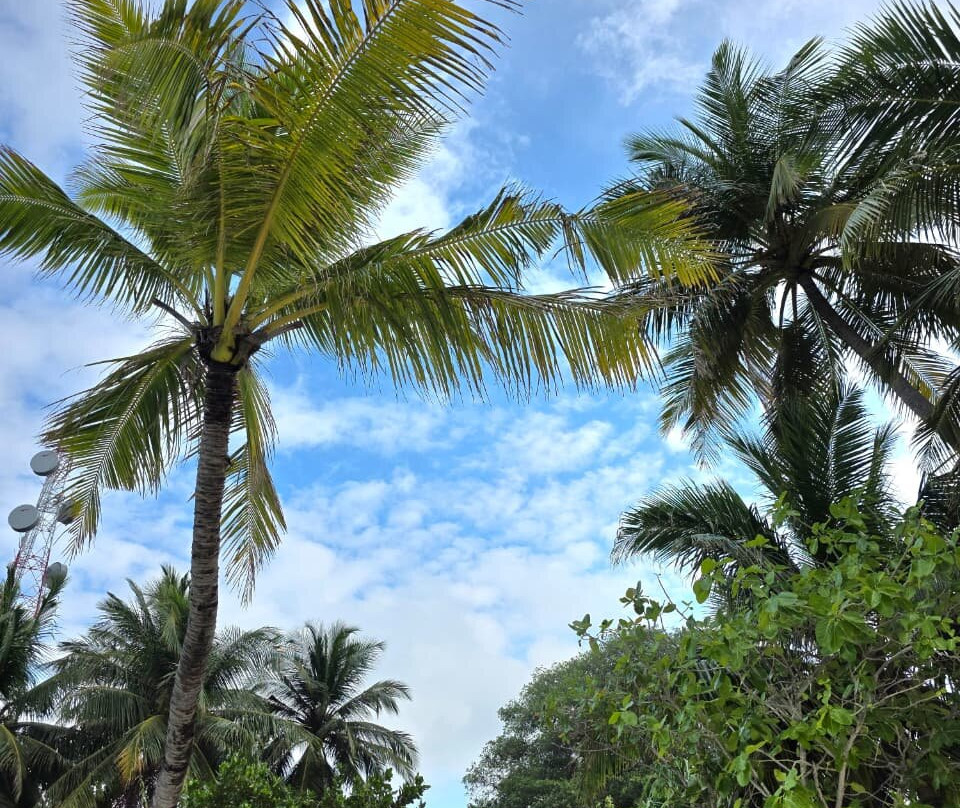 Bikini Beach-拉斯胡必去景点