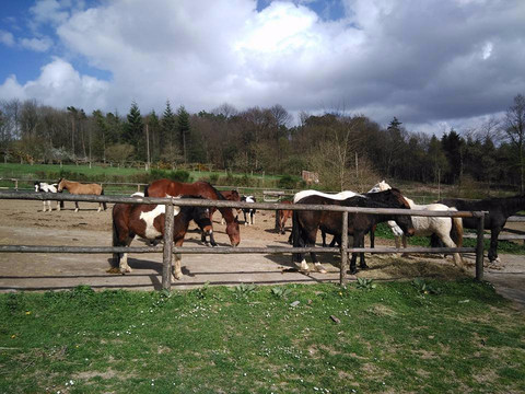 Cheval Broceliande-Trehorenteuc必去景点