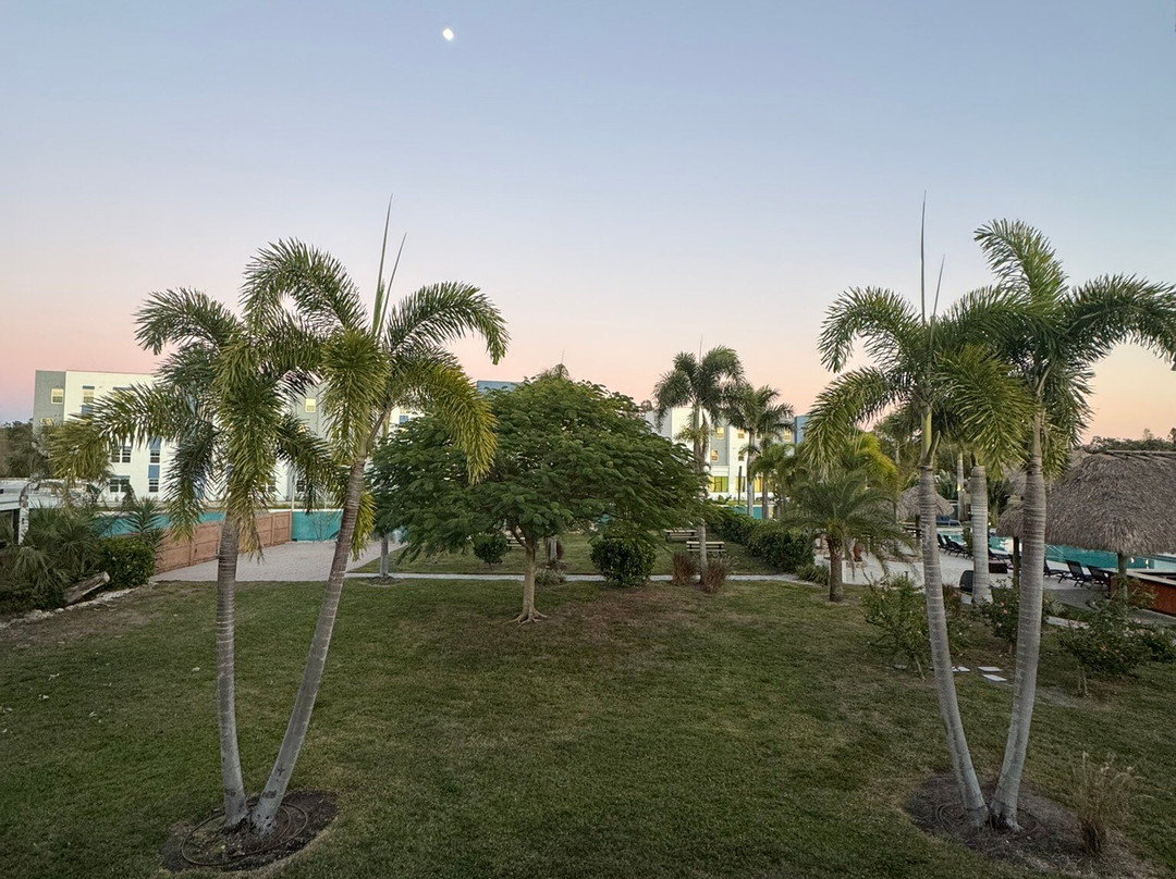 萨拉索塔金侯斯特酒店主图