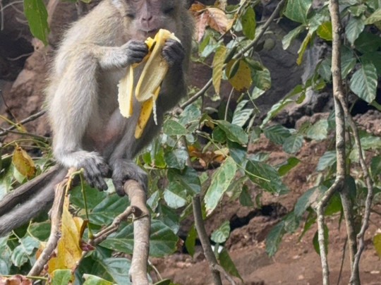 One Love Co Ltd.-毛里求斯必去景点