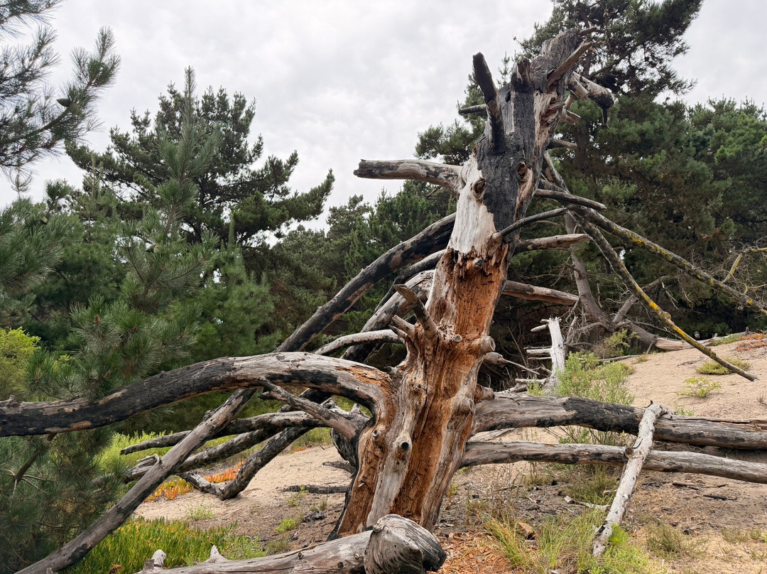 Posada del Parque-Quintero必去景点