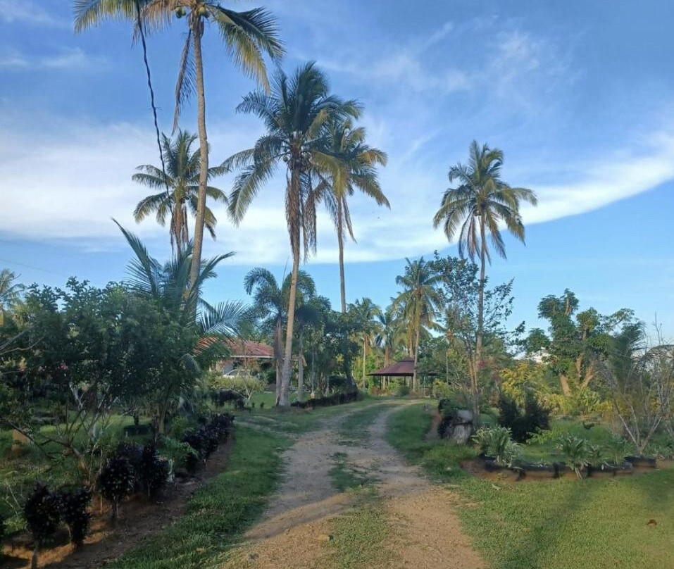 Asuneus Farm