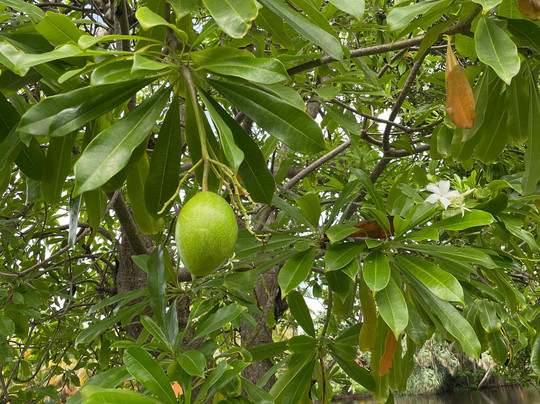 科伦坡福特酒店主图