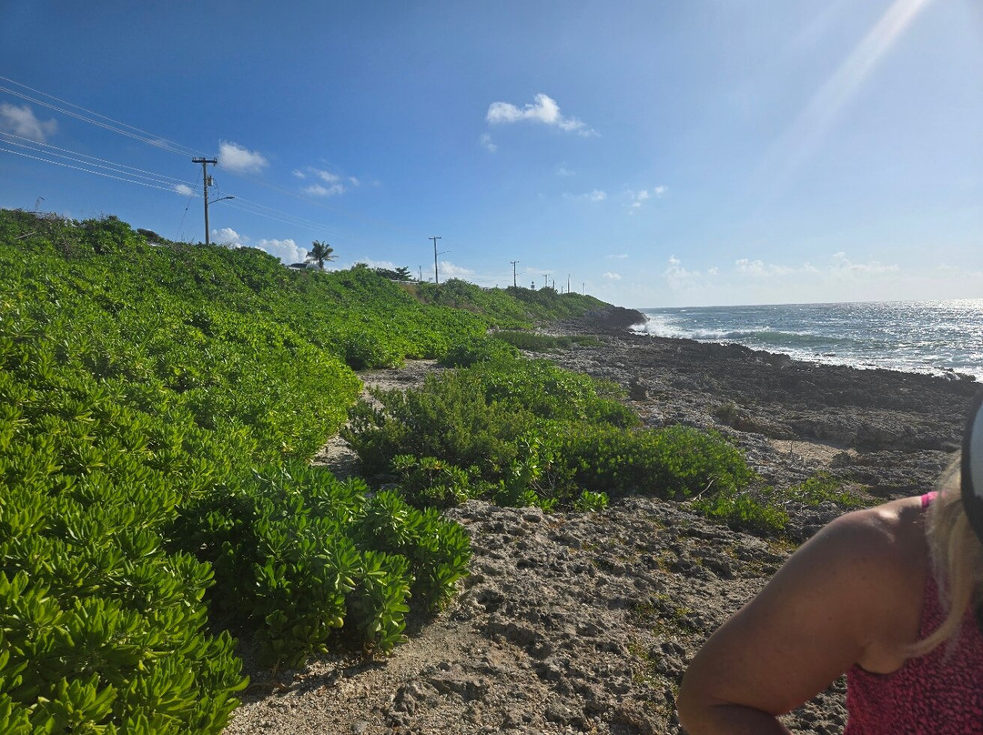 ECO Rides Cayman-East End必去景点