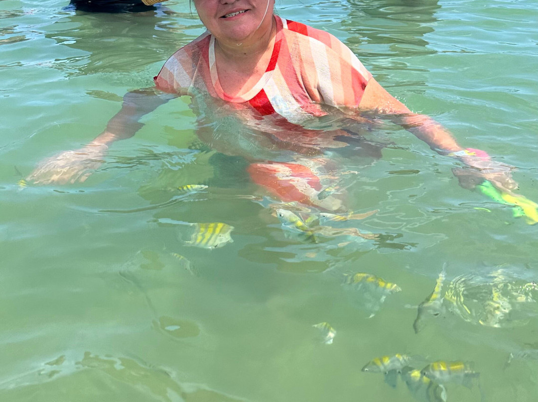 Pontal Tour-伊波茹卡必去景点