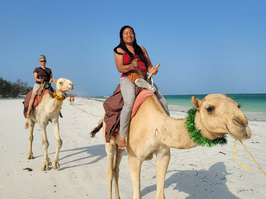 Traverze Culture-奥兰多必去景点