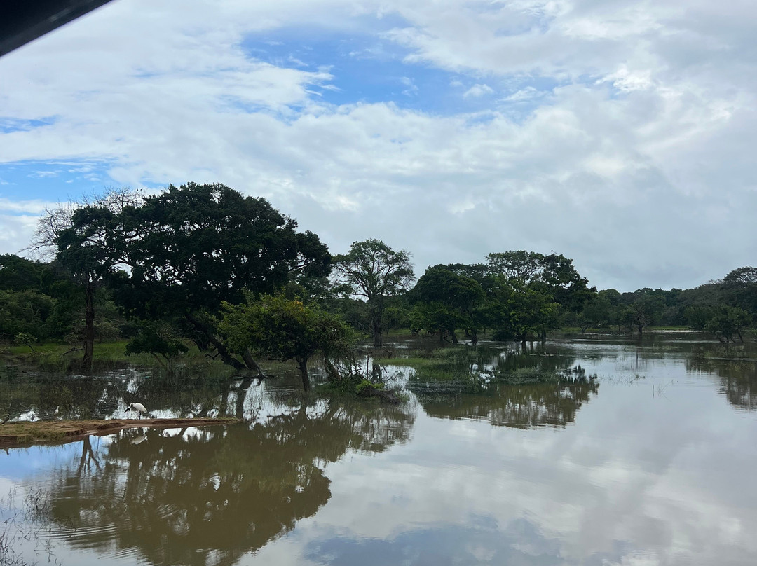 Freedom Safari Jeep Tours-蒂瑟默哈拉默必去景点