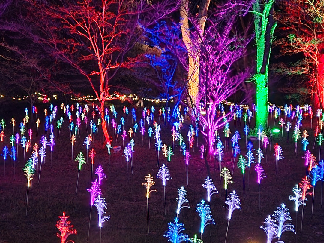 Light Up Trails-罗姆西必去景点