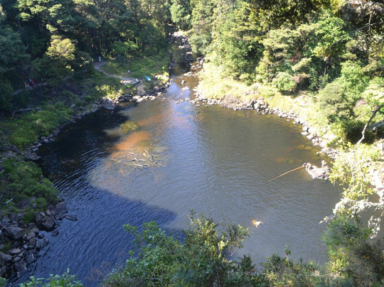 Pioneer Waterfront Apartments主图