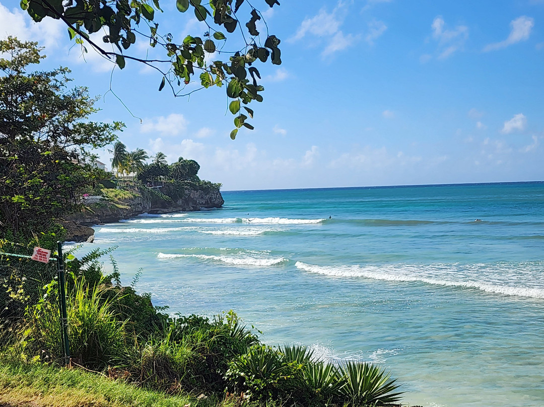 Freights bay surf school-Enterprise必去景点