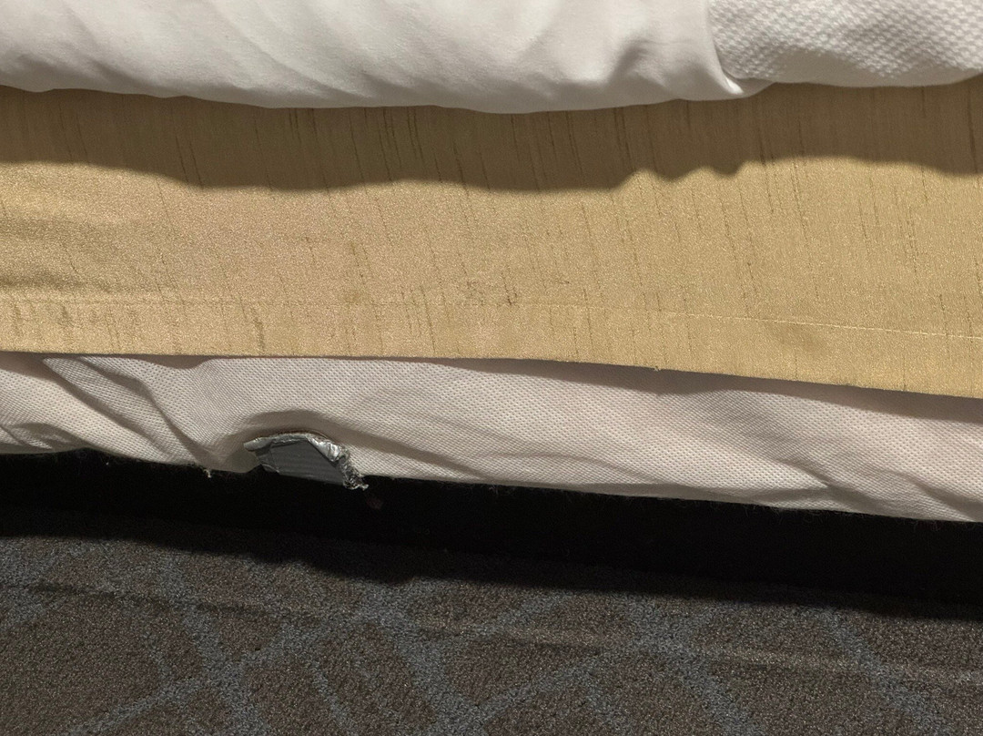 Comfort Inn Lancaster County主图