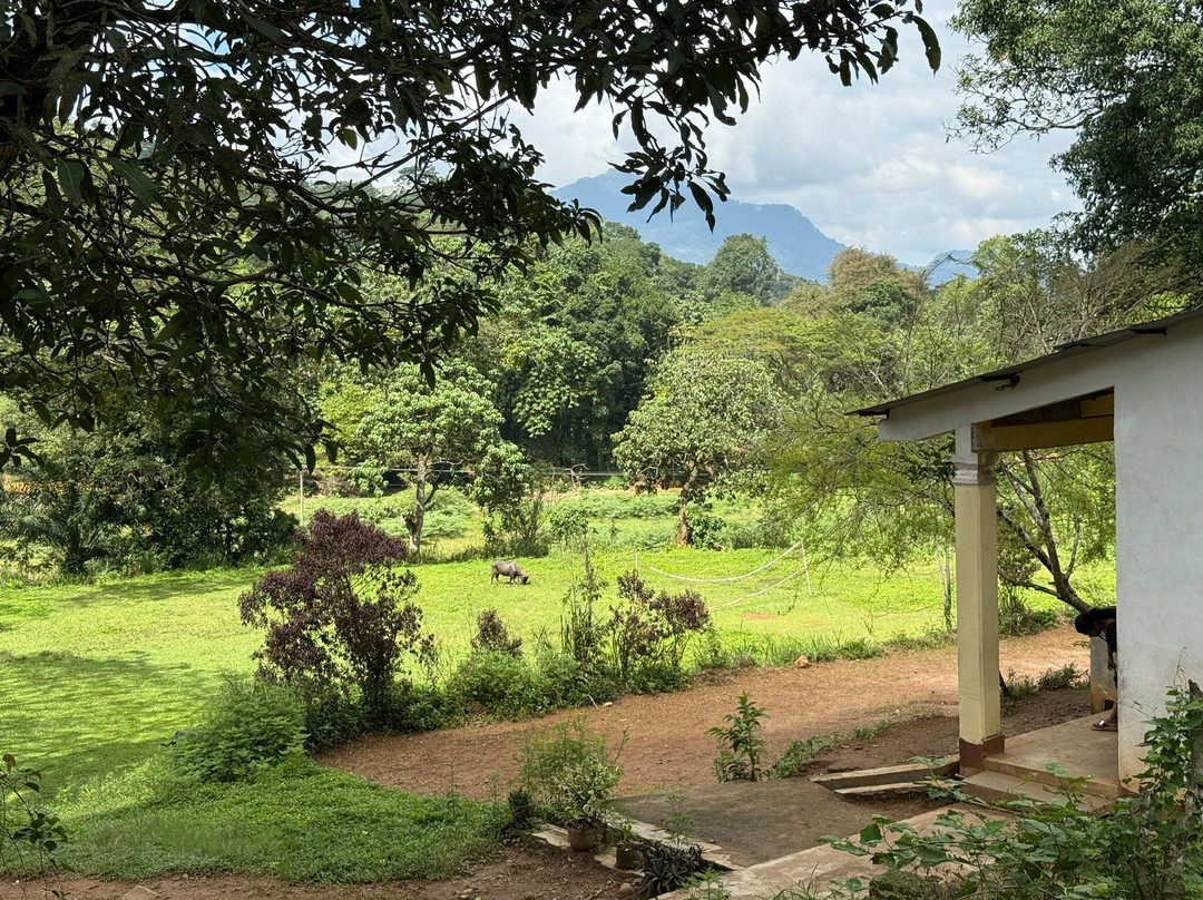 Different Discovery Tours-卡图纳耶克必去景点