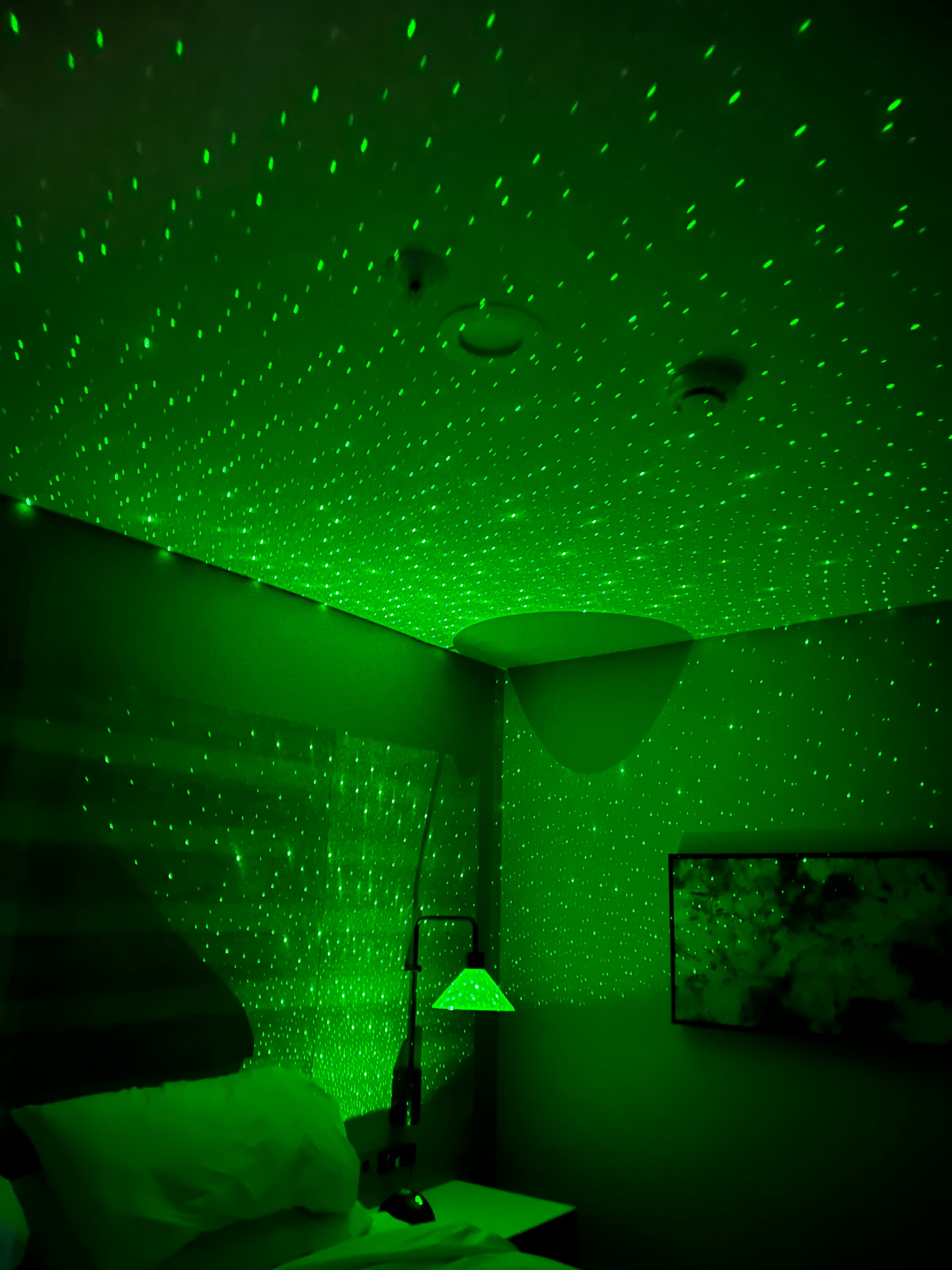 瑟夫杉度假村-客卧