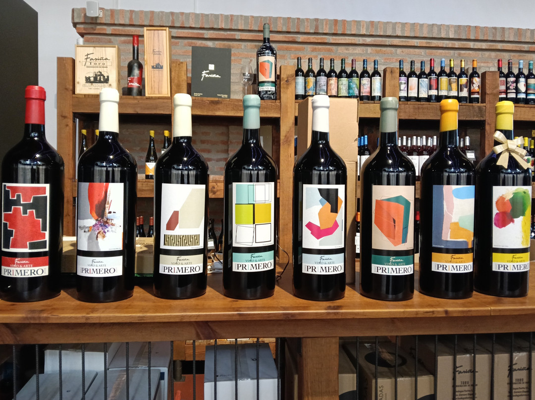 Bodegas Fariña-Toro必去景点