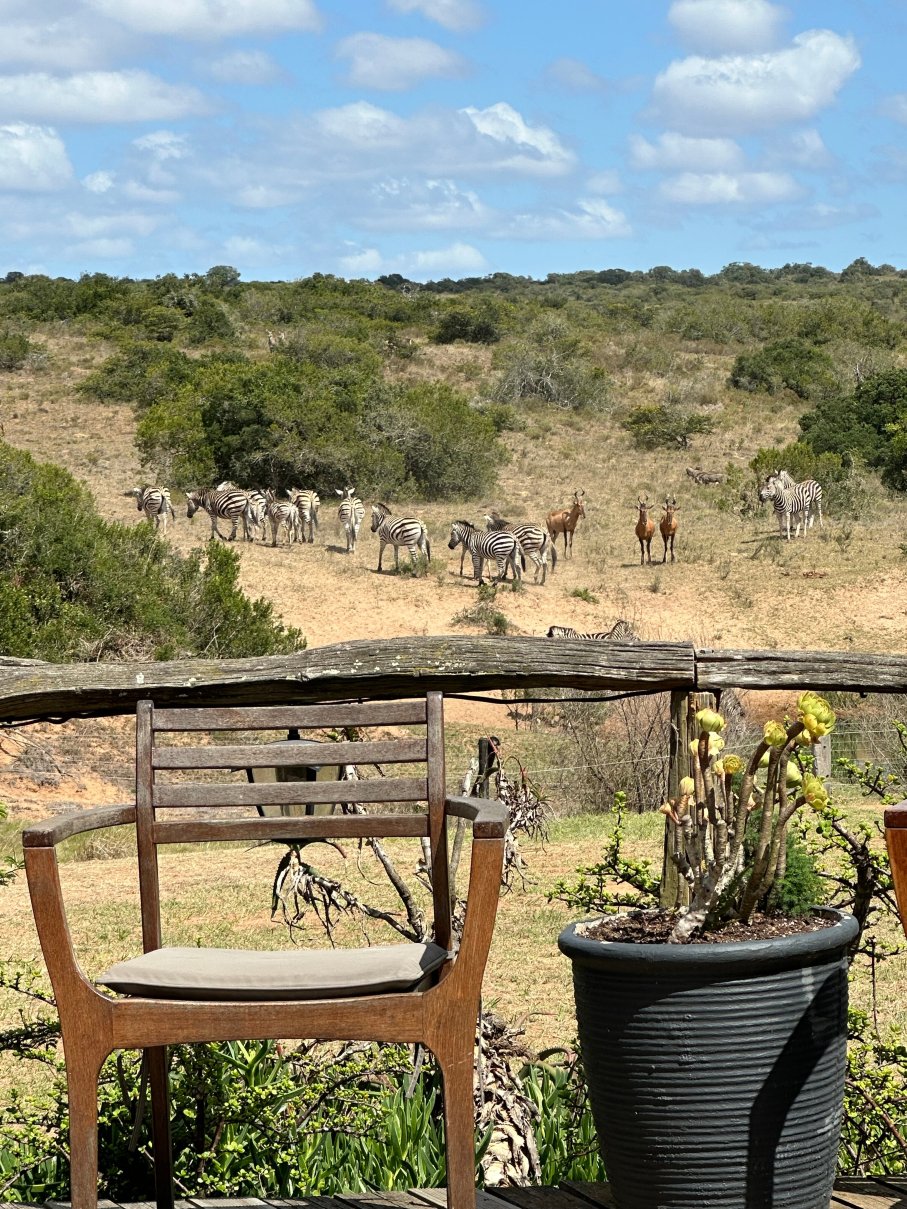 Hlosi Game Lodge-浴室
