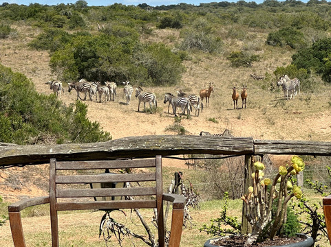 Hlosi Game Lodge主图