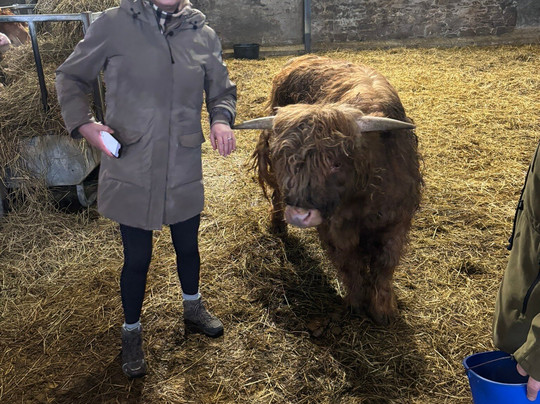 Newton Farm Holidays & Tours主图