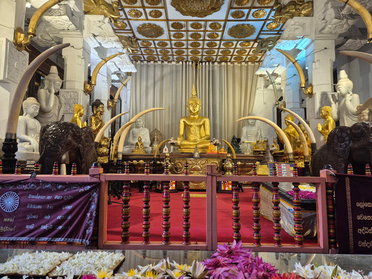 Voyager Sri Lanka by S. P. PATHIRANA (PVT) LTD-Maharagama必去景点