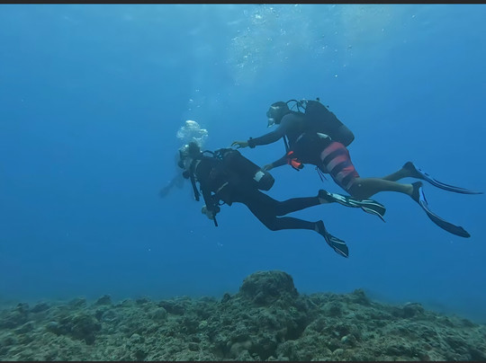 基地潜水中心-Pereybere必去景点