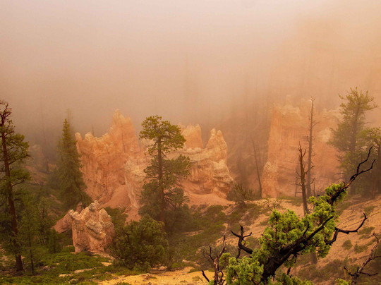 Swamp Canyon-布莱斯峡谷国家公园必去景点