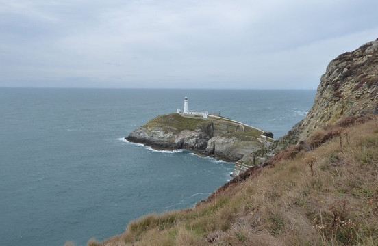 South Stack Cliffs RSPB Reserve-Holyhead必去景点