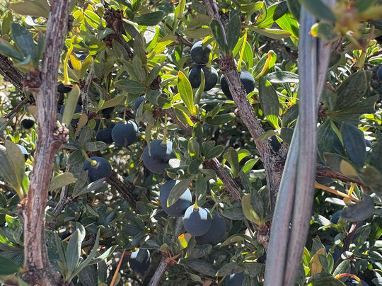 维斯卡酒店主图