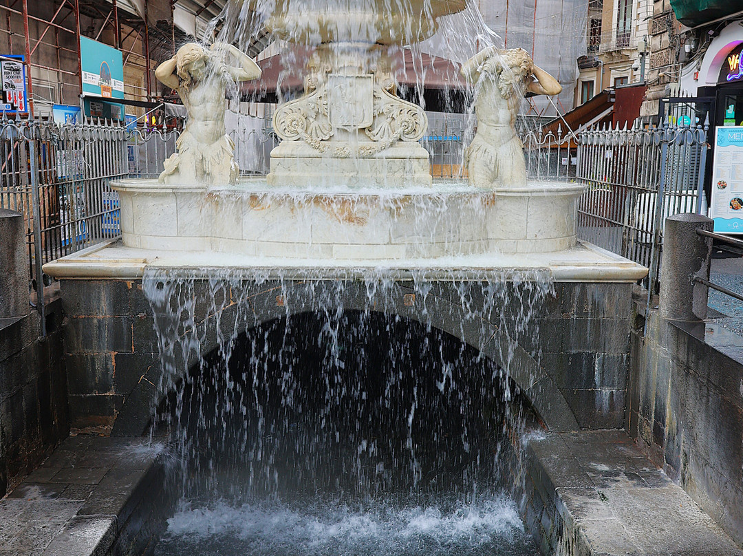 Fontana dell'Amenano-卡塔尼亚必去景点