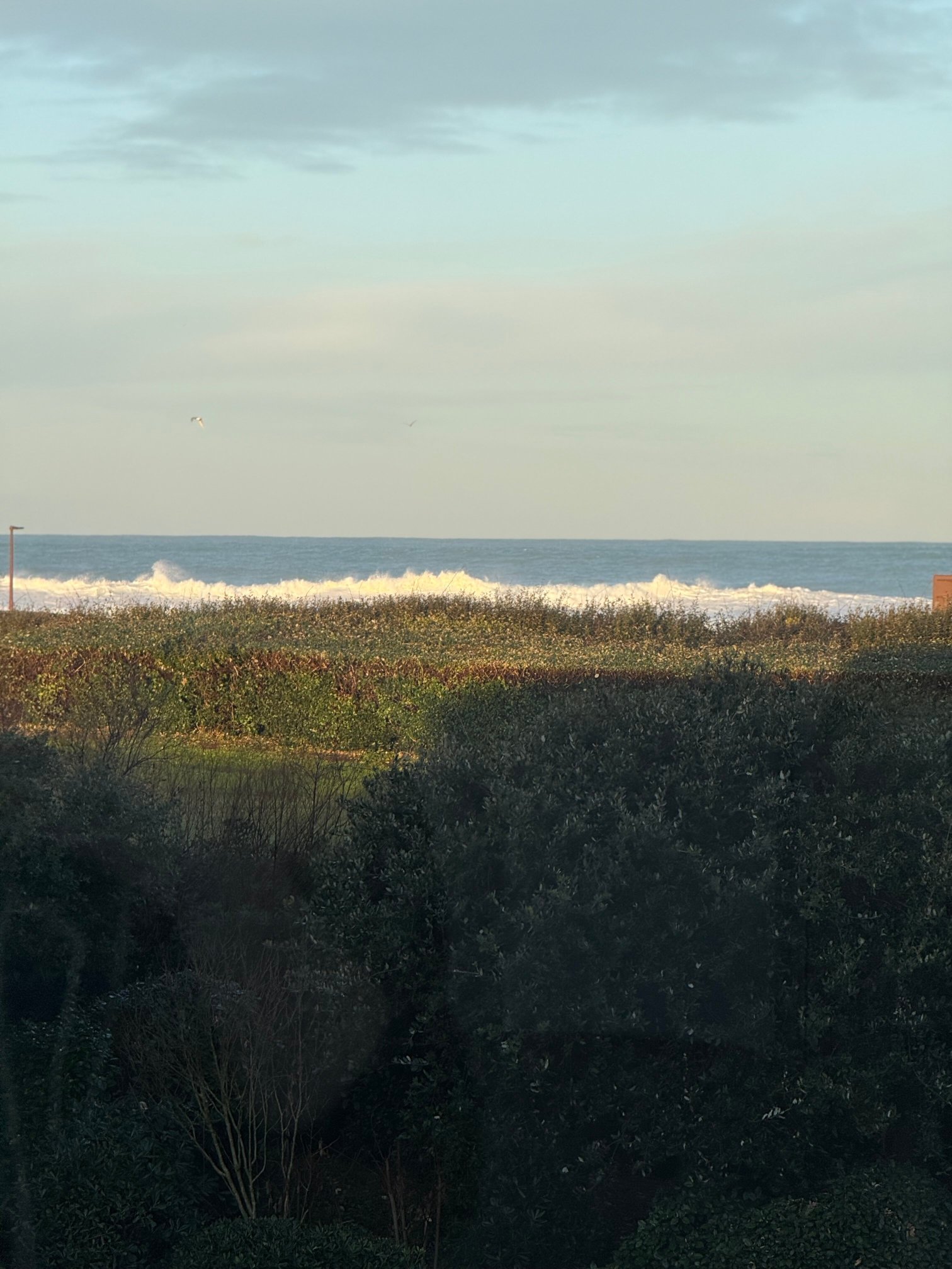 亚特兰塔尔酒店-官方