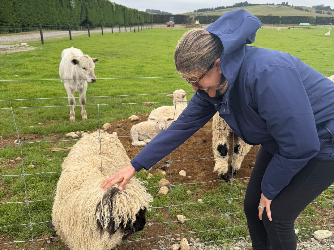 Woodstone Farm, Te Anau, New Zealand-蒂阿瑙必去景点