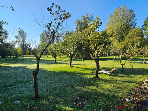 Agriturismo Corte San Girolamo主图