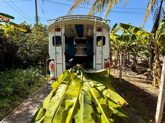 Maerim Elephant Sanctuary-夜林必去景点