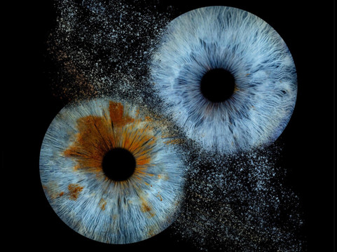 Iris Galerie Mall of the Netherlands-Leidschendam必去景点
