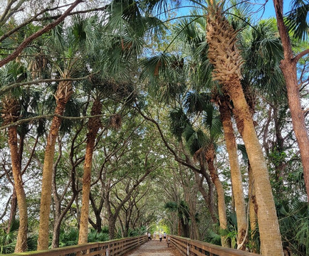 Wakodahatchee Wetlands-德拉海滩必去景点