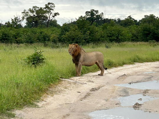 Khwai Guest House主图