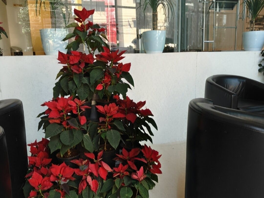 Keys Select by Lemon Tree Hotels, Thiruvananthapuram