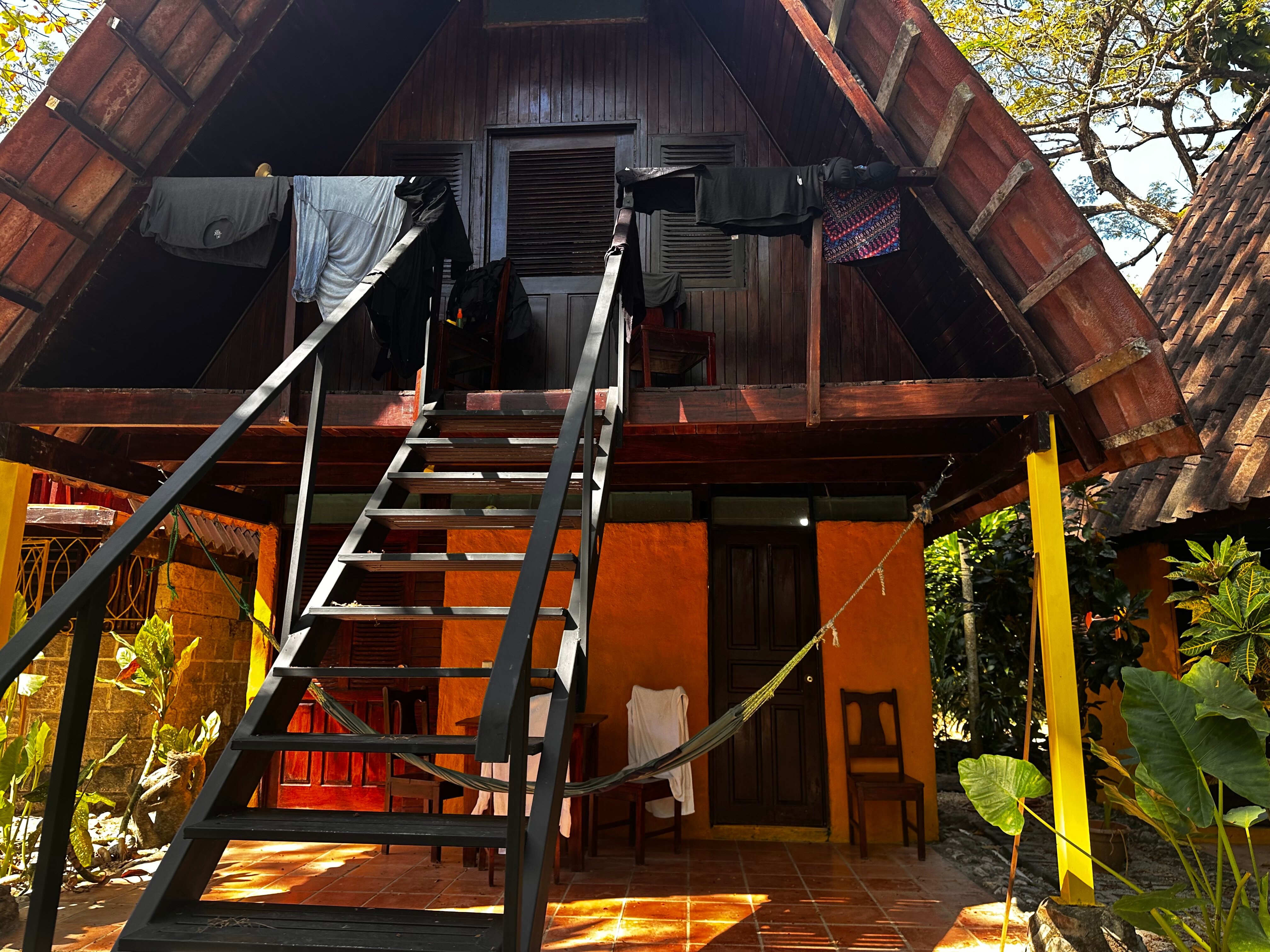 Howler Monkey Hotel-官方